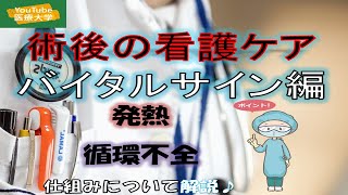 手術後の看護　後編【バイタルサインのあれこれ】発熱と循環動態をメインに、看護師が１０分で解説♪