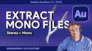Adobe Audition: Extract Mono Files From Stereo