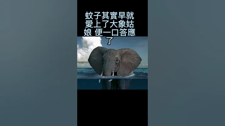 訂婚戒子  #笑話#冷笑話#訂婚戒子#山羊#大象#好姑娘#買不起#shorts#開心笑話#幽默笑話 #哈哈哈 - 天天要聞