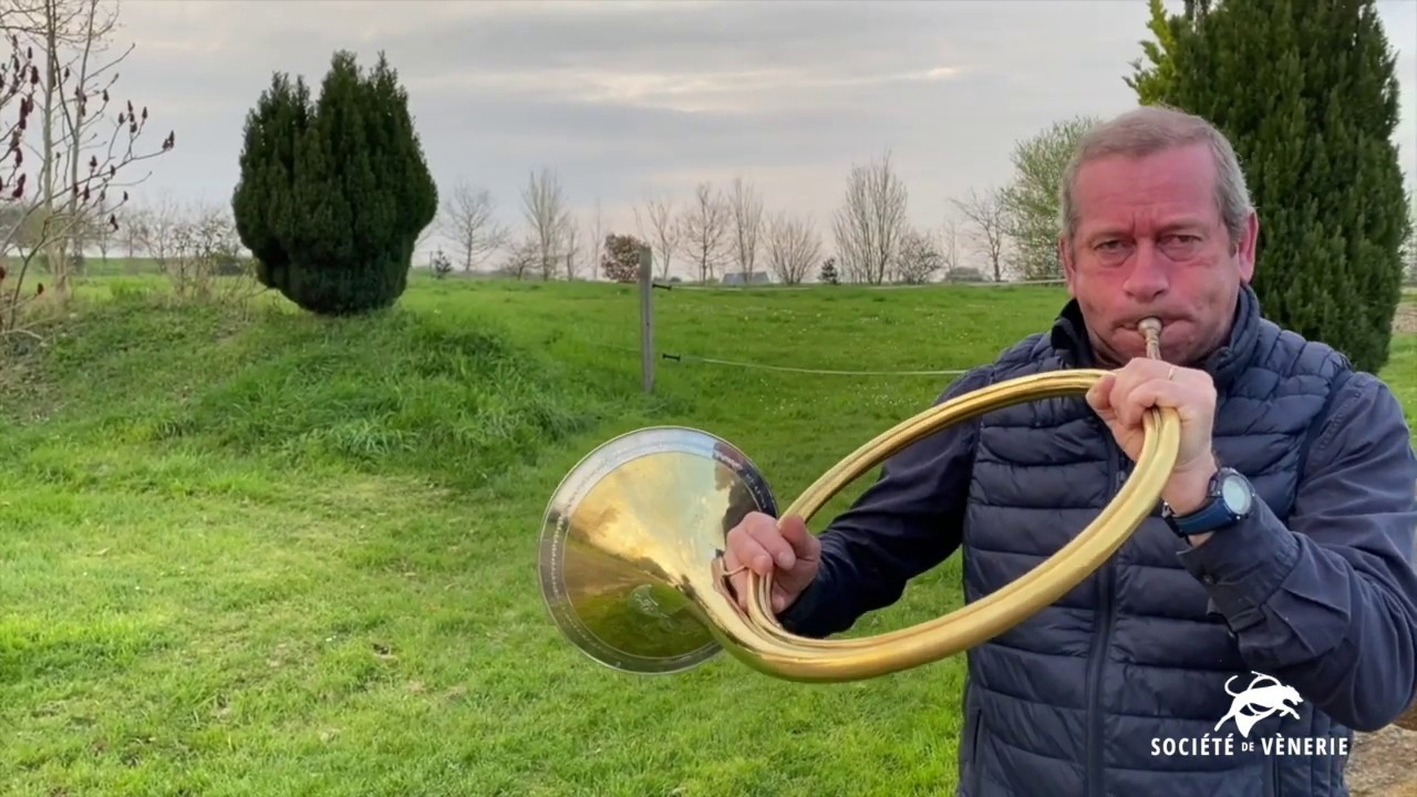 Les Honneurs de 20 heures