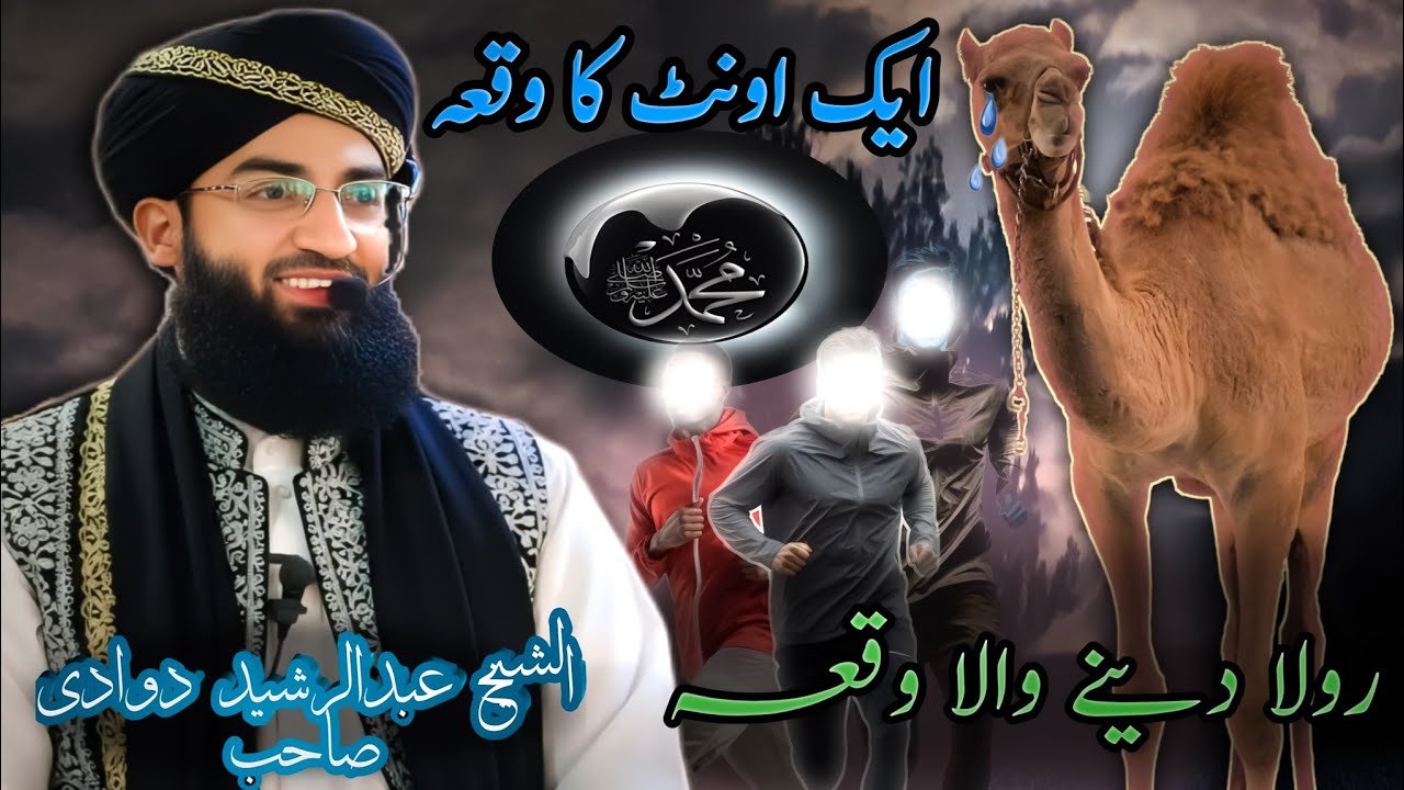 Al Shaikh Abdual Rashid Dawoodi Sahab ||🐫 ایک اونٹ Kha Waqa || Dil ❤ Kho Sakoon Dana Wala Waqa#viral