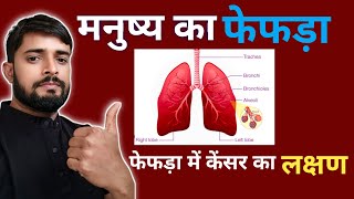 BIOLOGY | फेफड़ा | HUMAN LUNGS | LUNGS CANCER | OPEN STUDY AREA || LUNGS STRUCTURE