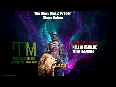 Limbu Luchagula Nelemi Oshilile Official Audio by the ntuzu music