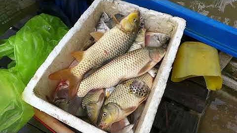 Đánh Thực Tế Mẩu Máy 40FET  Mặn Ngọt Lợ Thế Hệ Mới | Xiệt Điện Công Nghệ Cao | Kích Cá | 0369051161