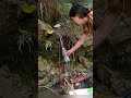 Can a Single Mom REALLY Provide for Her Child in Remote Mountains?