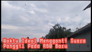 BERAPA LAMA WAKTU IDEAL MENGGANTI SUARA PANGGIL PADA RBW BARU?