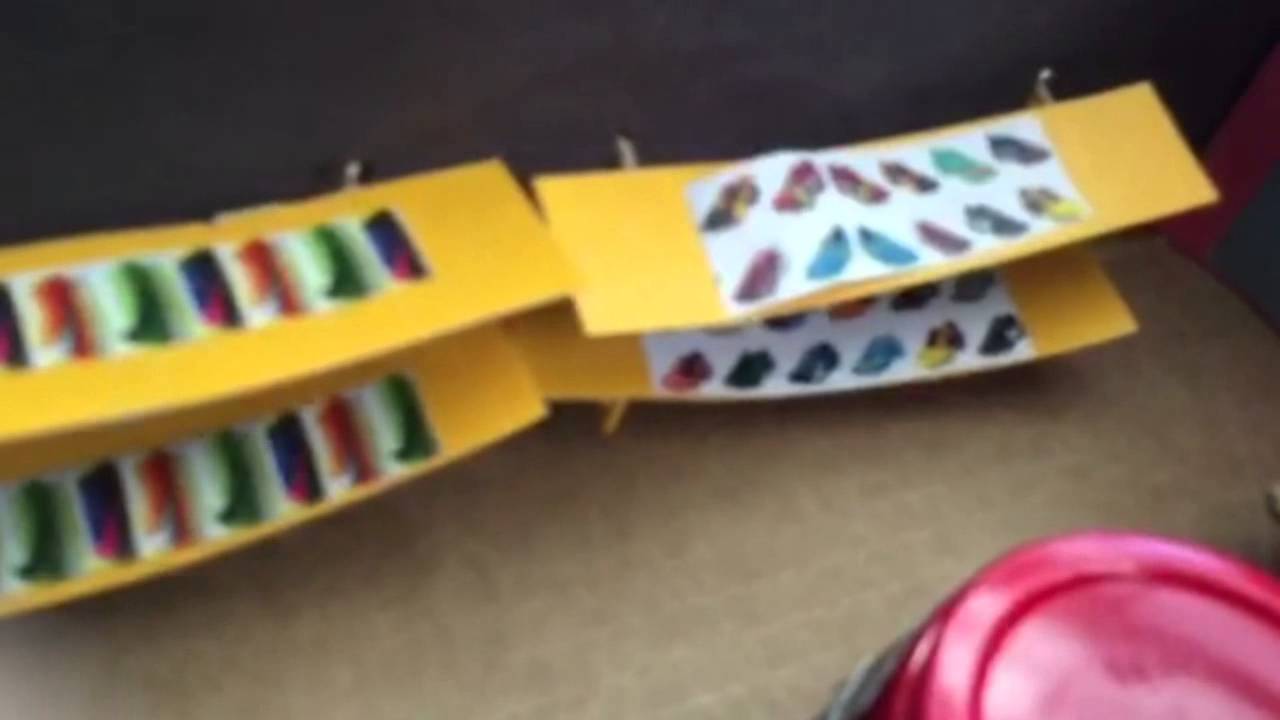 Supernova Soccer Academy