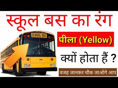 वीडियो: नीपोलिटन मास्टिफ़ कलर किस्मों