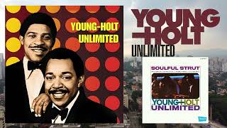 ★ＵＳ盤★YOUNG & REDD-HOLT UNLIMITED名盤２枚セット Young-Holt Unlimited / Just A Melody (LP) / Brunswick 1969 US