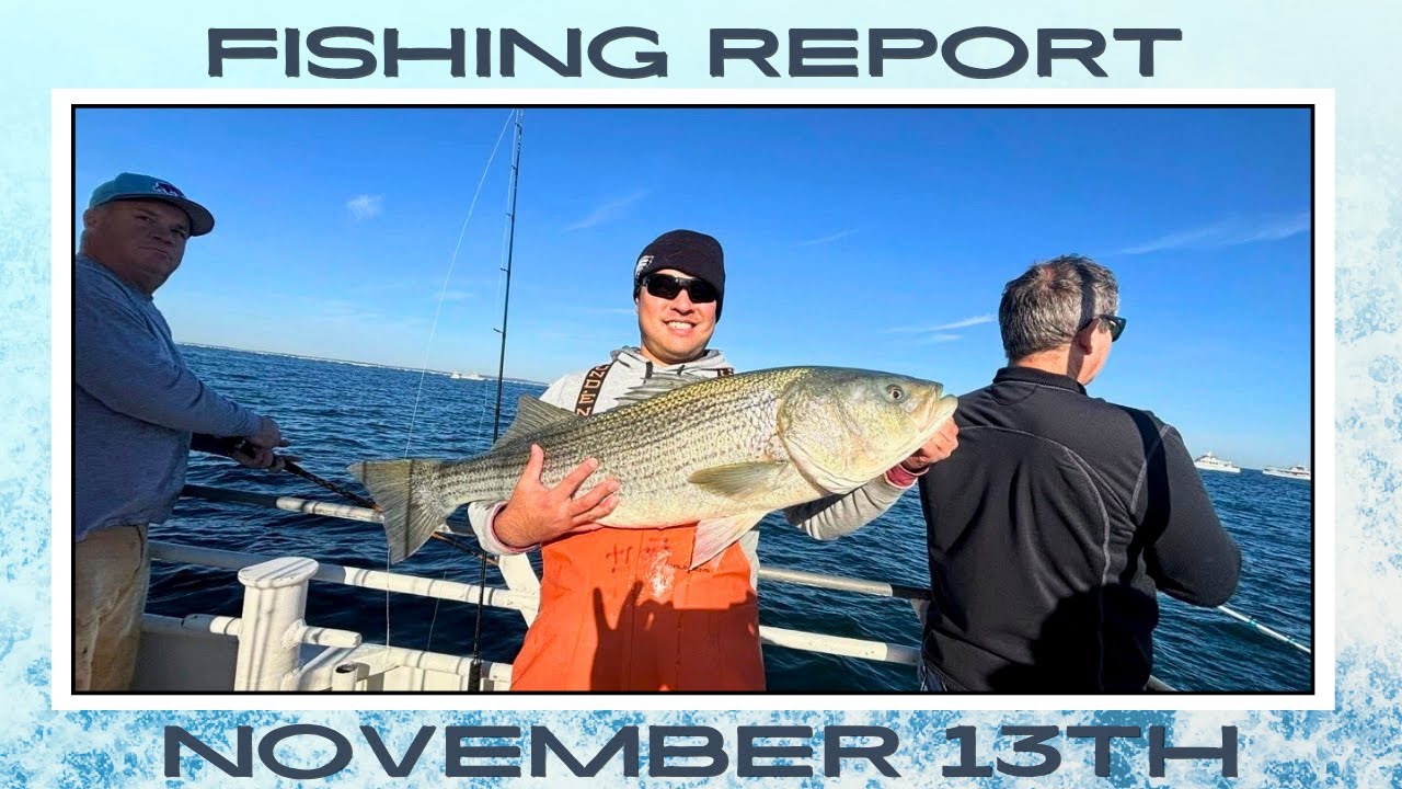 New Jersey Fishing Report November 13th #fishingreport #fishing #surffishing #stripedbass