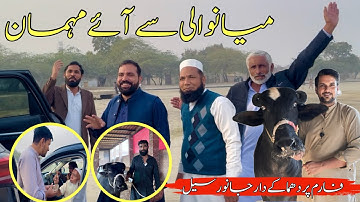 How Many Animals Were Sold from the Farm Today?