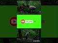 subscribe karo  #trending #shorts