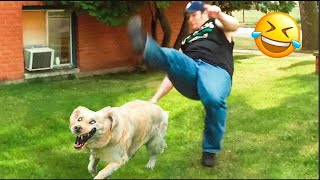 Funny cat and dog Studio🐈&🐕 - Best Funny Animal Videos 2024😁Part 10 by Peow Peow Studio 151 views 1 month ago 11 minutes, 15 seconds