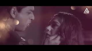 Veer Zaara Mashup - Srk Preity - Lata Mangeshkar Sonu Nigam - Naresh Parmar - Old Songs 90S Mashup