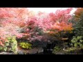 宇治市植物公園.wmv の動画、YouTube動画。
