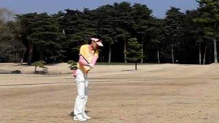 2010224紫あやめ 007.AVI