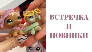 видео: LPS: ВСТРЕЧКА | Новинки! картинка: LPS: ВСТРЕЧКА | Новинки!