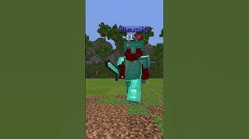 Stray PvP | 1v1 In Sword With LT3