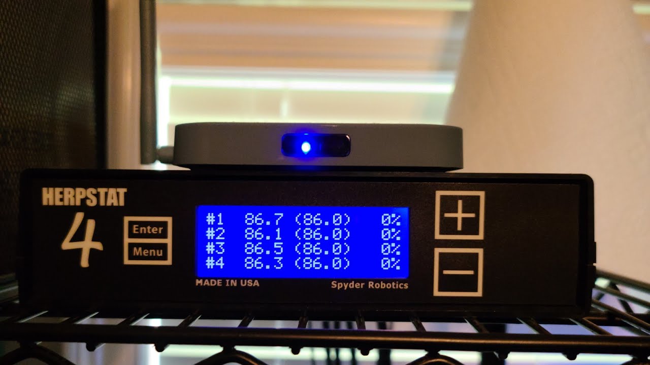 Boa constrictor temperatures and heating. YouTube
