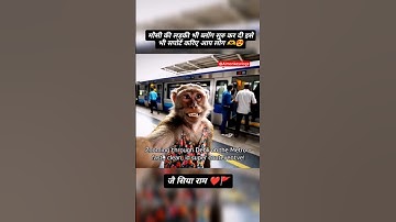 ai monkey vlog 😱 | created by veo 3 #shorts #ai #viral #aivideo #veo3 #ytshorts