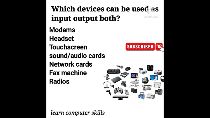 input and output both devices|by learn computer skills
