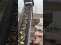 Farm to Table in 5 Seconds: The Ultimate Grinder! ⏱️🥩