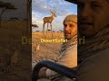masa and bear AI Magic ,Desert Safari,Wild life