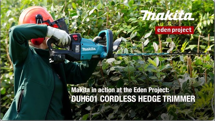 Sorg Lav vej Hop ind Makita DUH551 18v Lithium Ion Hedge Trimmer - YouTube