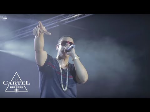 Daddy Yankee - Switzerland (2013) [Live]