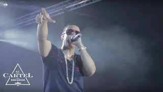 Daddy Yankee - Switzerland (2013) [Live]