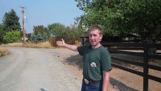 Modern Steel Horse Fence | Ranch Build Walkthrough