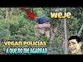 INSÓLITO: CUATROS INDIVIDUOS SE TIRAN POR UN BARRANCO PA NO IR PRESO,  VEAN ESTE VIDEO COMPLETO 🤣