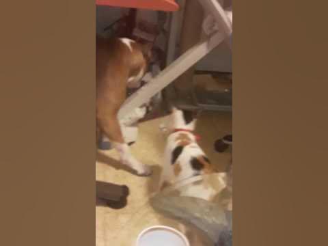 Сайты издевательства. Сайты издевательства. Раскраска бандиты и полицейские. Сайты издевательства. Издеваются над русскими военнопленными.