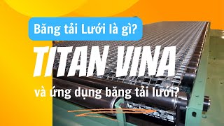 Băng tải lưới là gì? Phân loại và ứng dụng của băng tải lưới