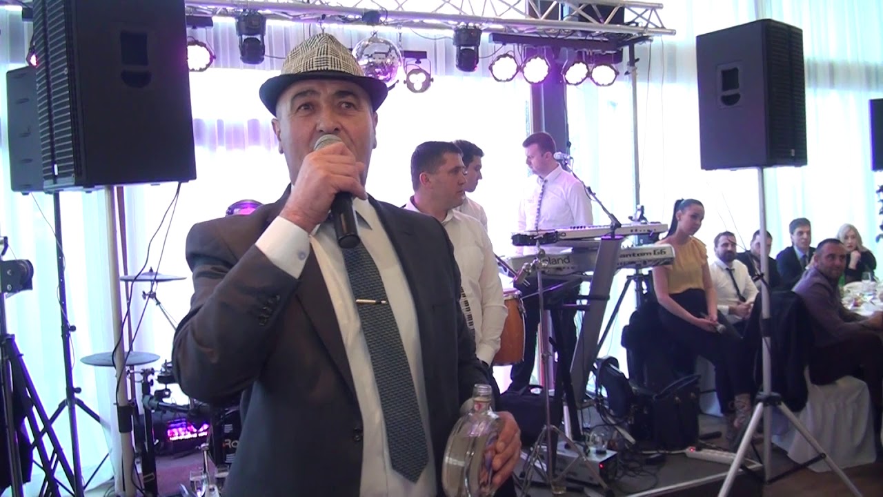 Dragisa Vemic   zdravica sestricu