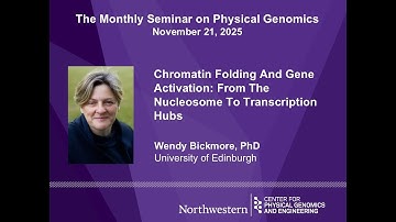 Wendy Bickmore - Chromatin Folding And Gene Activation: From The Nucleosome To Transcription Hubs