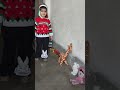 Rida apna favourite toys dikha rhi h🧸❤️ #shorts #youtubeshorts #viral #trending