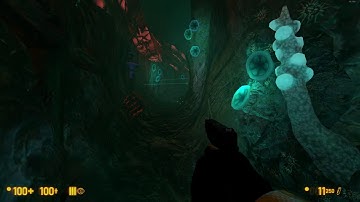 Black Mesa Xen bug