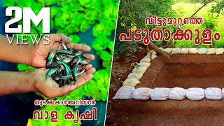 Padutha Kulam Malayalam | Vaala Meen Valarthal | പടുത കുളം നിർമാണം | മീൻ വളർത്തൽ