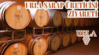 Urlada Şarap Üretimi Şarap Nasıl Üretilir? Şarap Tadımı