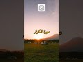 أسئلة دينية أسئلة عن القرآن الكريم والسنة اختبر ثقافتك الدينية أسئلة دينية أسئلة عن القرآن الكريم والسنة اختبر ثقافتك الدينية