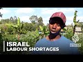 Kenya to send 1500 agriculture workers to israel amid farm labour shortage