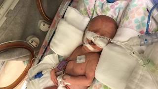 In Memory of Raelynn In Memory of Raelynn
