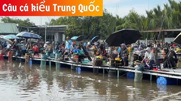 ✅ Câu cá Rô Phi kiểu Trung Quốc, lần đầu tiên tại Việt Nam | DUY FISHING SAI GON