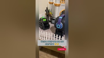 vector meets emo for the first time #emo #emorobot #emopet #vector #vectorrobot #airobot #petrobot