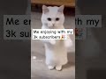 Thanks for 3k subs guys🎉🎉🎉 #history #like #subscribe #viralvideo #europe #funny #goviral #cat