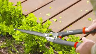 The Garden Gurus - Hedging & Edging