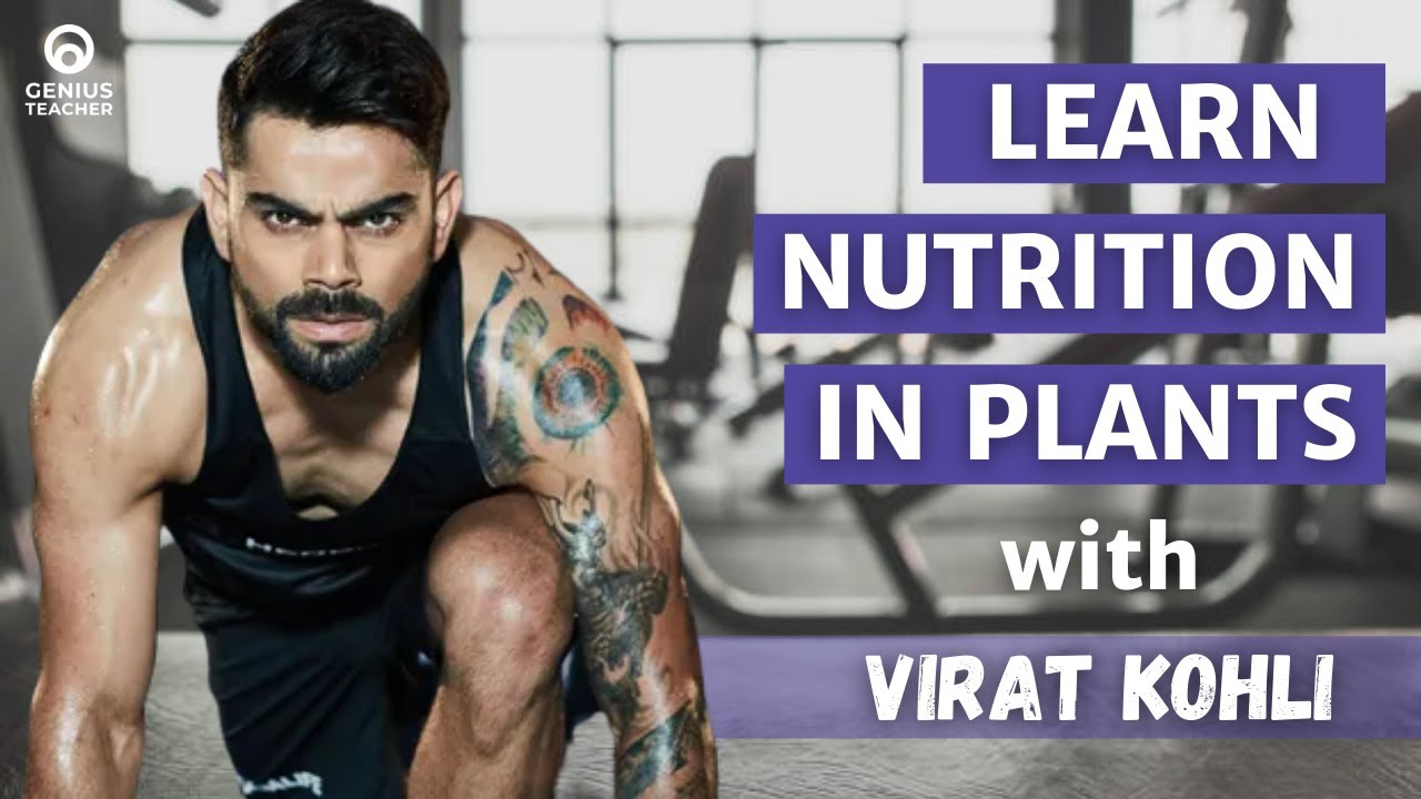 How do plants get their Nutrients? Nutrition in Plants CBSE Class7