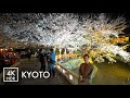 4K HDR | Sakura night walk in Gion, Kyoto 京都祇園の夜桜 - Japan Walking Tour with Binaural Audio