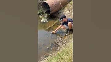 Country boys doing a little hand fishing on a summer day!